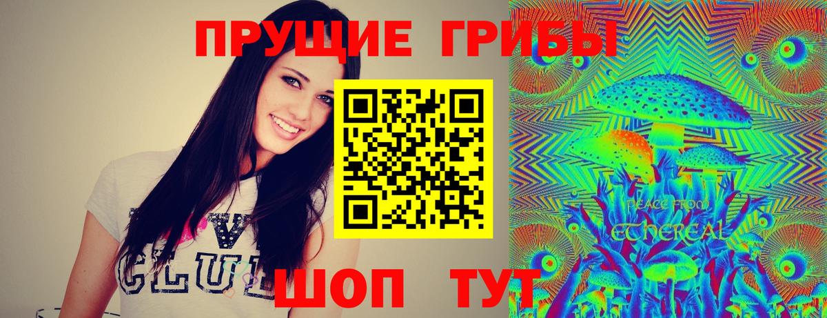 Саяногорск  Галлюциногенные грибы GOLDEN TEACHER  Вход с VPN 